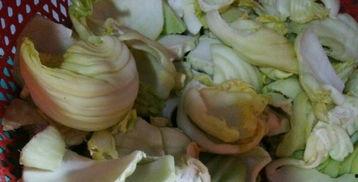 潮汕咸菜爆料视频播放大全,海量视频带你领略潮汕美食魅力